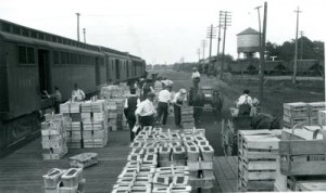Farmers loading baskets of fruit 1920