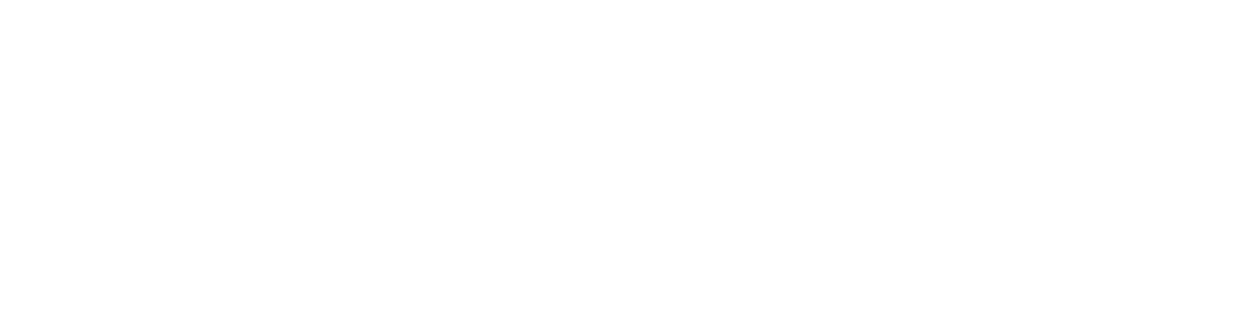 PayPal logo white